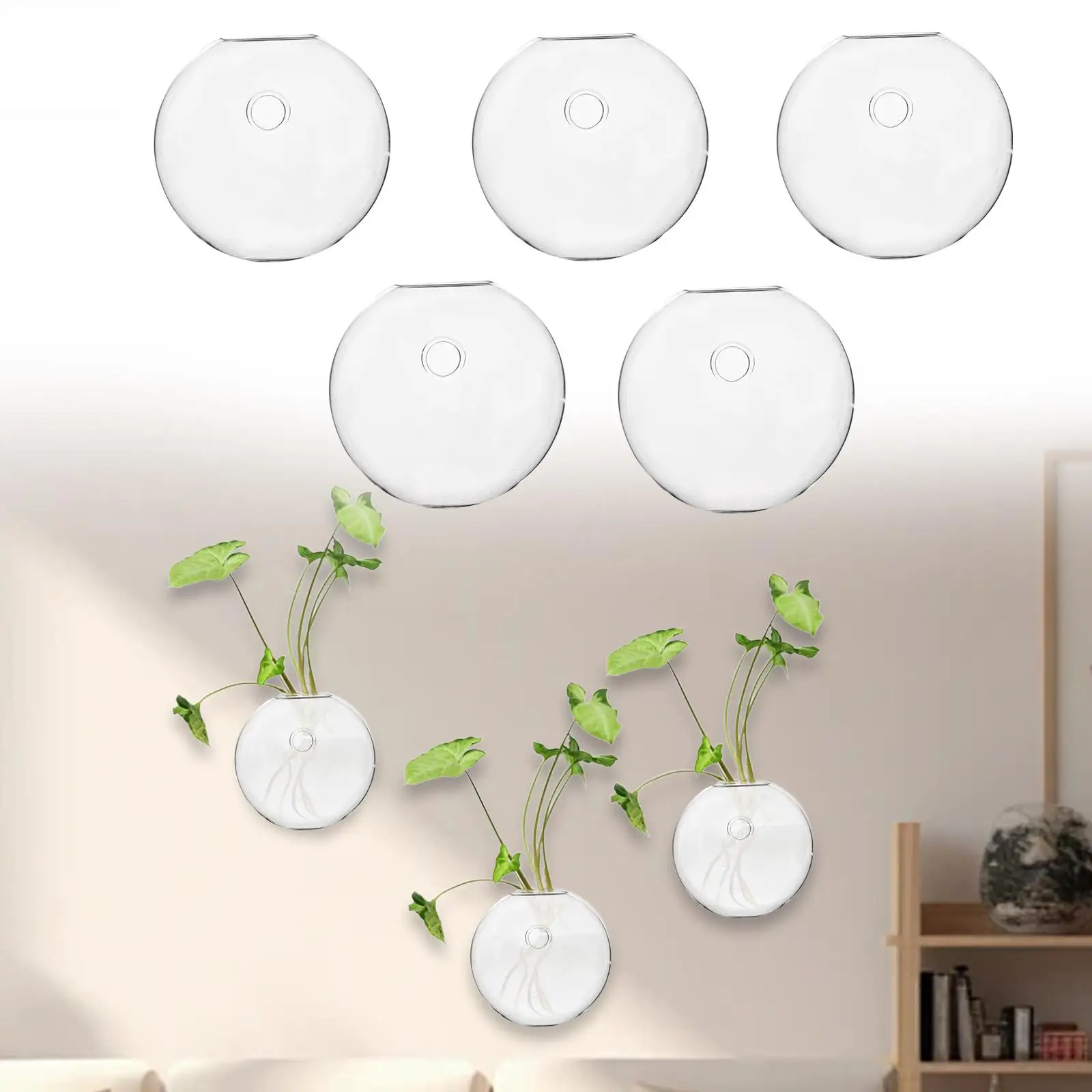 5x Hydroponic Vase Small Easy to Install Hooked Vase for Office Bathroom