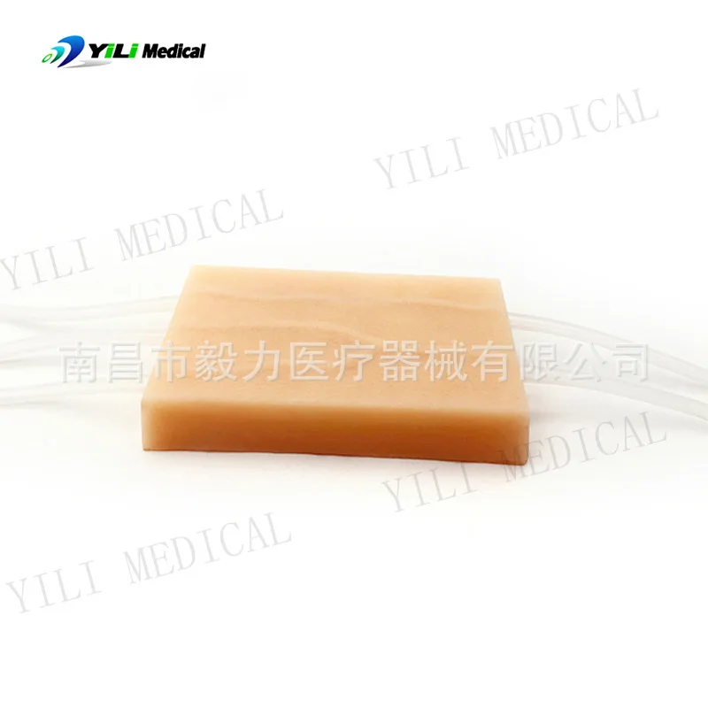 Vascular Arteriovenous Injection Training Module Subcutaneous Vascular Muscle Injection Exercise Module Silicone Suture Exercise
