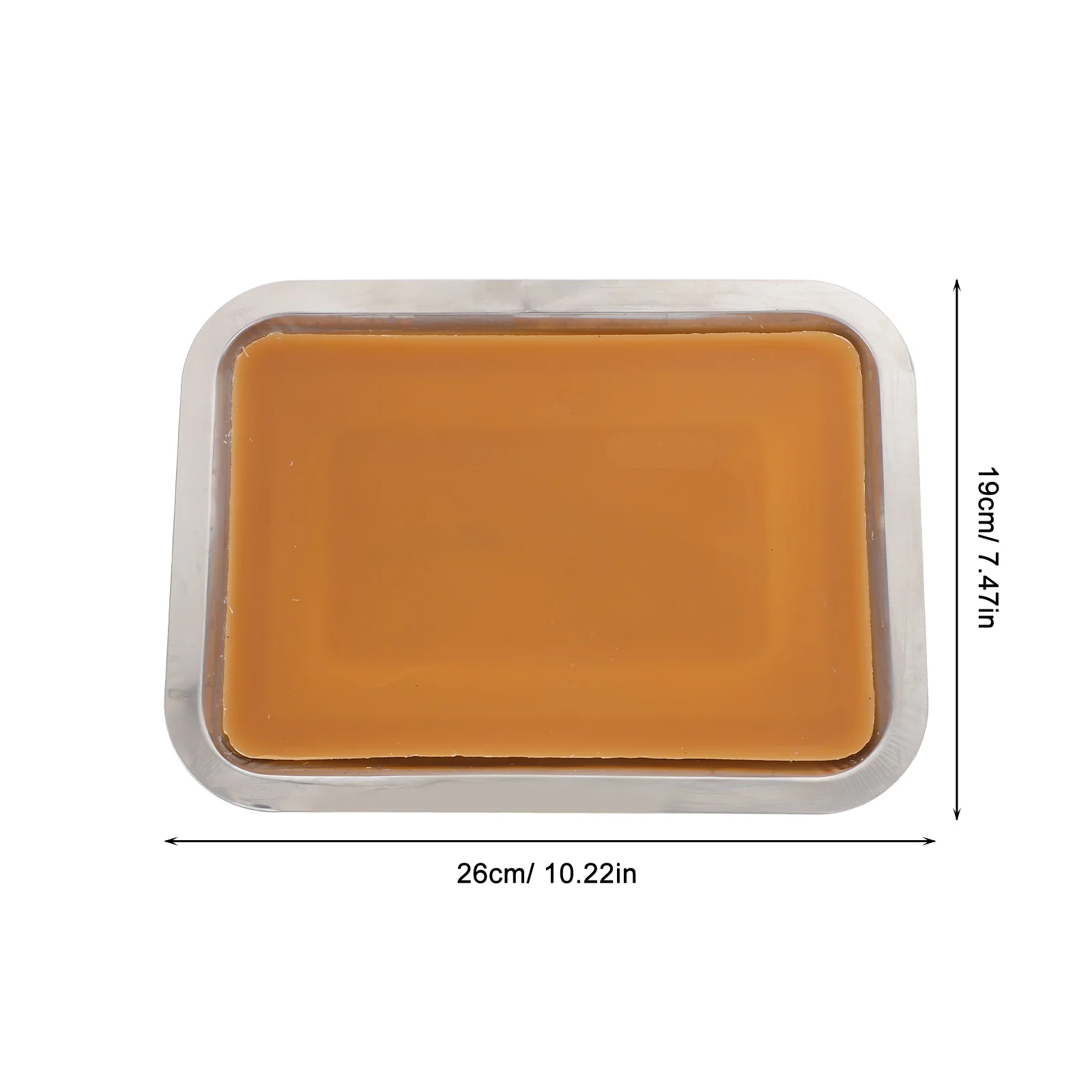 صينية تشريح الشمع 18 × 25 سم طبقة معدات المختبرات البيولوجية أداة الفصول الدراسية الصغيرة من الشمع الأبيض #2