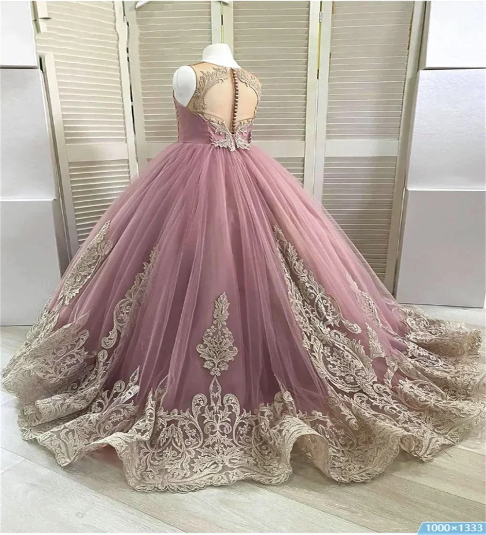 Dusty Pink Flower Girl Dress Golden Lace Kids Wedding Dress Puffy Sleeveless Floor Length Dress Birthday Dress for Princess