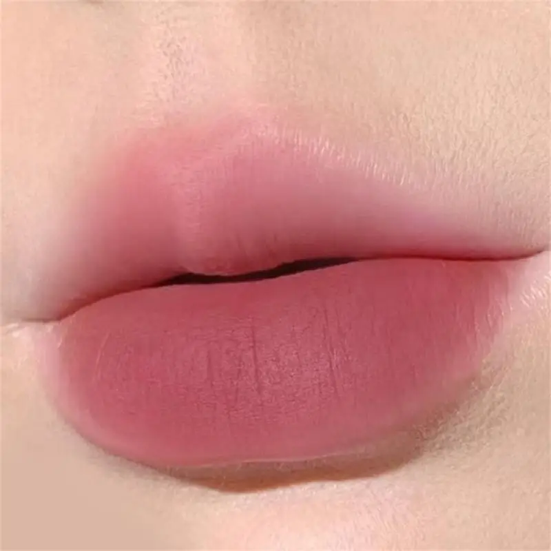 Lápiz labial resistente al agua, 2/3/5 piezas, a prueba de sudor, maquillaje labial mate, no se decolora, brillo de labios satinado, Cosméticos de belleza