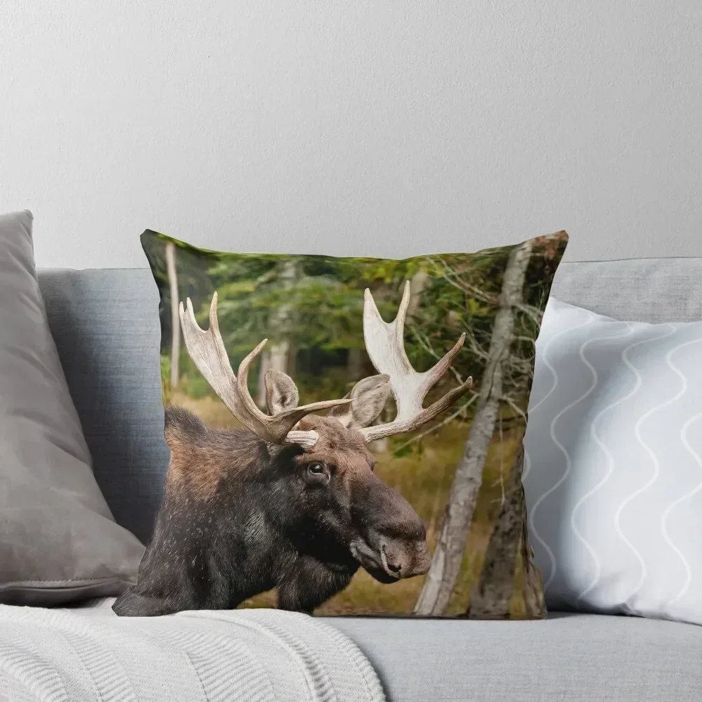 

Bull Moose Throw Pillow covers for pillows Pillow Decor Cushions For Children pillow pillowcase