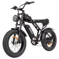 Ridstar Q20 Mini Electric Bike 48V 15AH Battery 40 km/h Max Speed Front Suspension Fork, Mechanical Disc Brakes