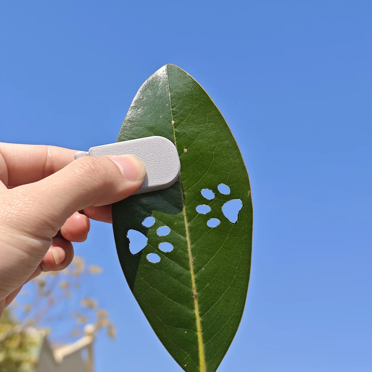 Cat‑Paw Shaped Leaf Punch Embosser Interactive Enrichment Toy For Indoor Cats Creative Time‑Killing Play Tool view 5