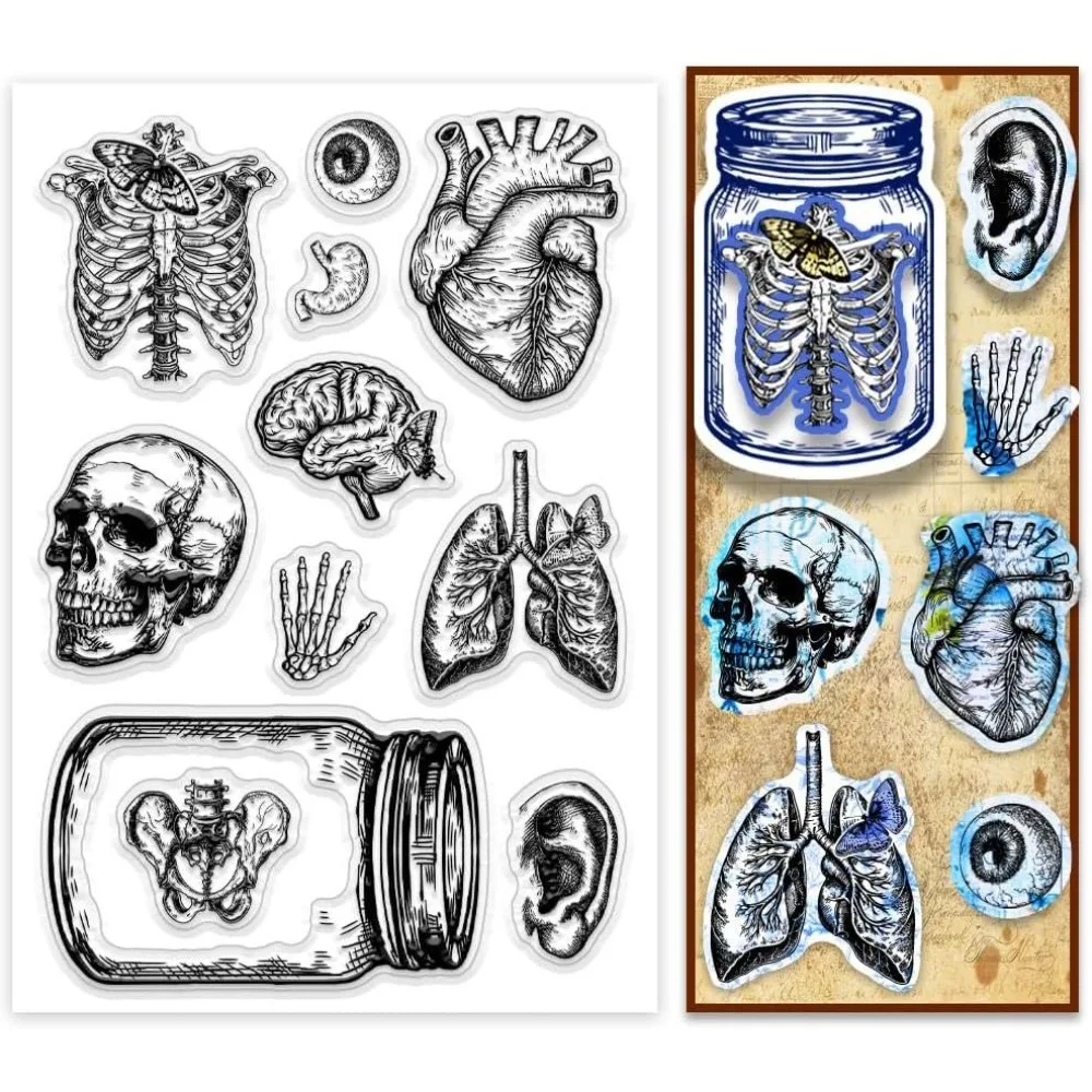 1 Blatt Skelett-Klarsichtstempel, Glas-Organ-Stempel, Gummistempel, Herz-Auge-Stempel, transparente Stempel, Klarsicht-Stempel für Scrapbooking