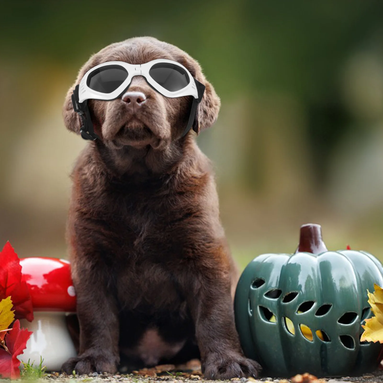 

Pet Sunglasses Foldable Dog Goggles Small Medium Large Breeds Uv Protection Windproof Waterproof Adjustable Strap Dog Glasses