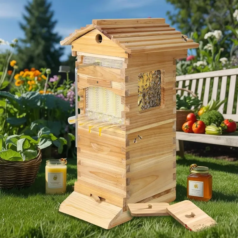 

Mini Beehive Boxes House with 4X Auto Run Honey Super Frame 6X Brood Wood