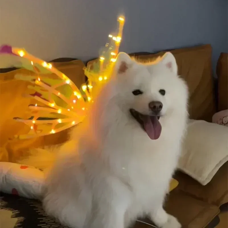 Dog Butterfly Wings Pet Glowing Wings Puppy Summer Clothes Decorative Samoyed Husky Medium Dogs Halloween Pet Halloween Costume