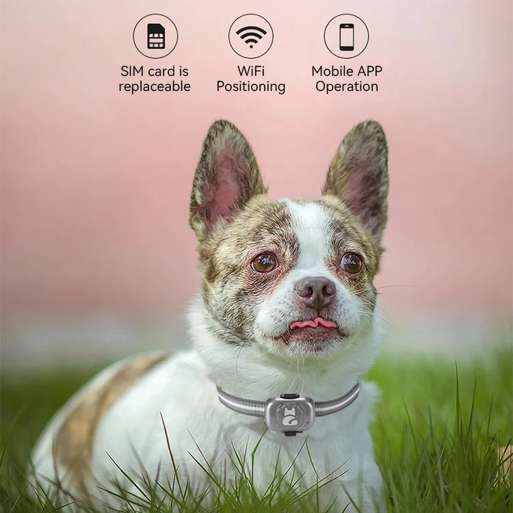 Imagem -02 - Mini Gps Tracker para Cães e Gatos Dispositivo Anti-perdido Impermeável Pet Localização Alarme Anti-roubo Coleira Tracker Acessórios para Cães 4g 2g