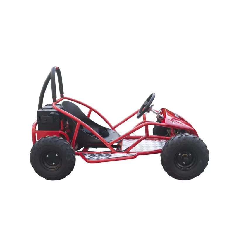 YTYIN رمح القيادة الكبار عربة الذهاب الكهربائية، عربات الذهاب الصغيرة للبالغين سباق الطفل الذهاب كارت #2