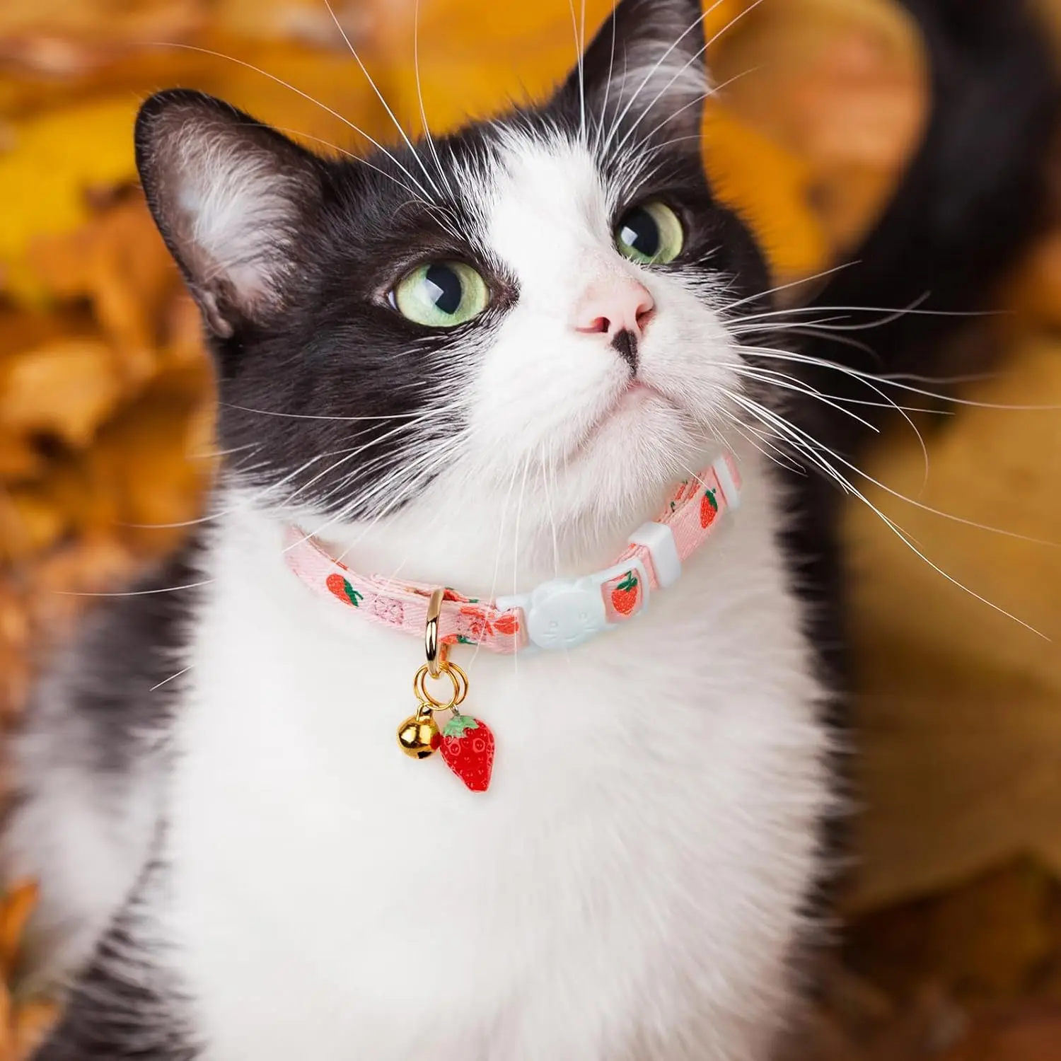 2er-Pack Baumwoll-Katzenhalsbänder Rosa Erdbeere Weißes Herz Niedliches Kätzchenhalsband – Detail 6
