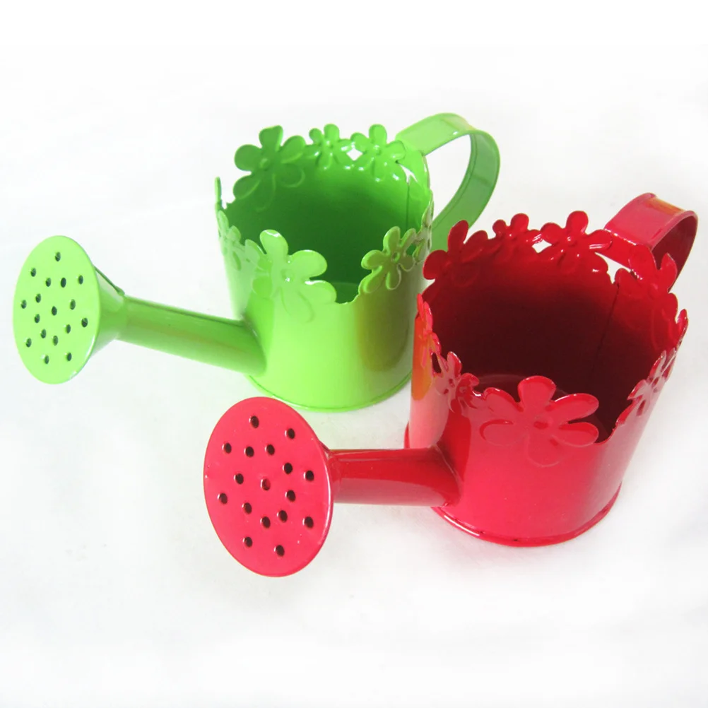

Creative Watering Can with Floral Pattern Thickened Snowflake Iron Long Spout Succulent Plant Flowerpot for Garden Decorative