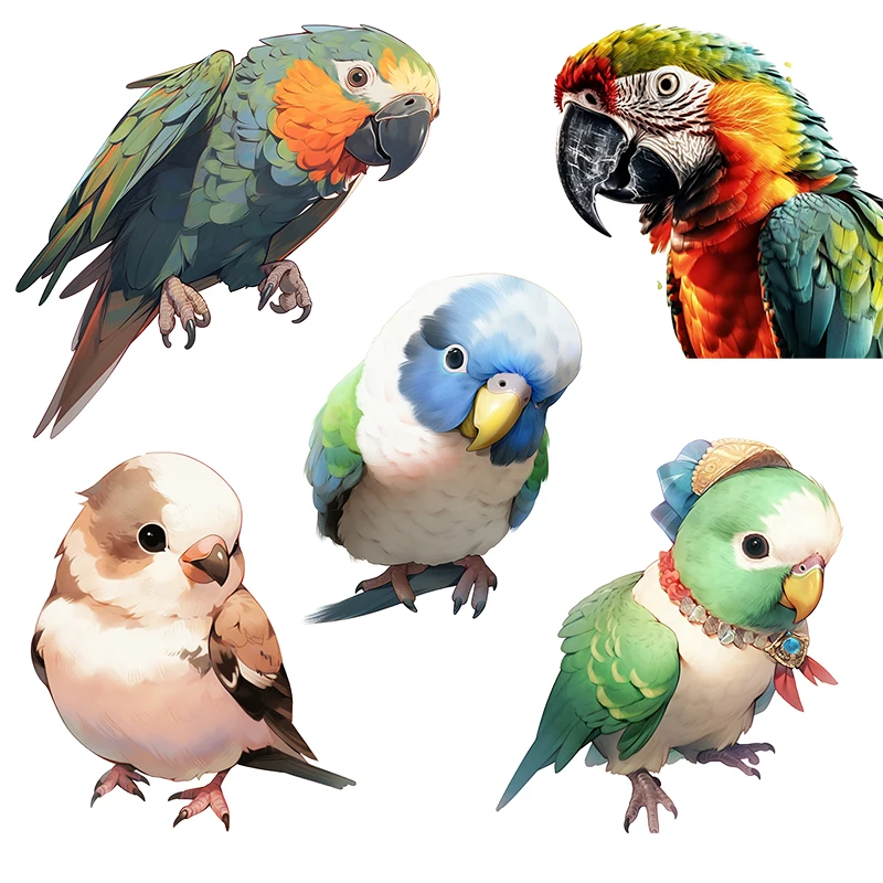 Three Ratels QCF260 Cute Colorful Parrot Kid's Bedroom Art Wall Sticker Personalized Car decals