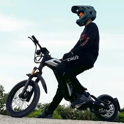Titaone S New Arrival Fat Off-road Tire Ebike 3000W 48V Fast Speed 75km/h Electric Bicycle