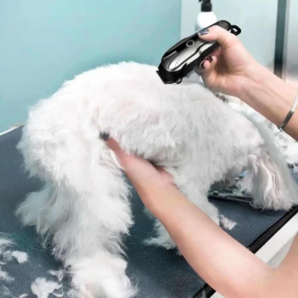 Professional USB Rechargeable Electric Pet Clipper Low Noise Cordless Cat Shaver LED Display Dog Hair Clippers Dogs Haircut
