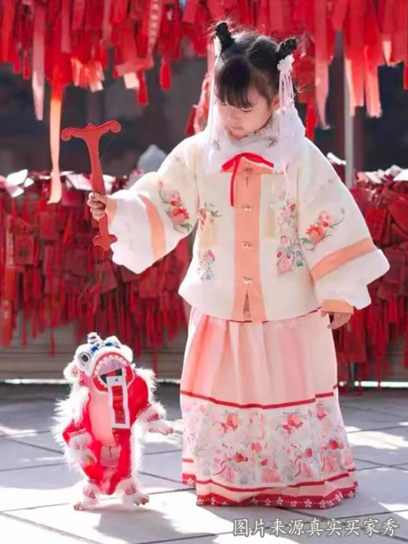 Chinese style puppet lion