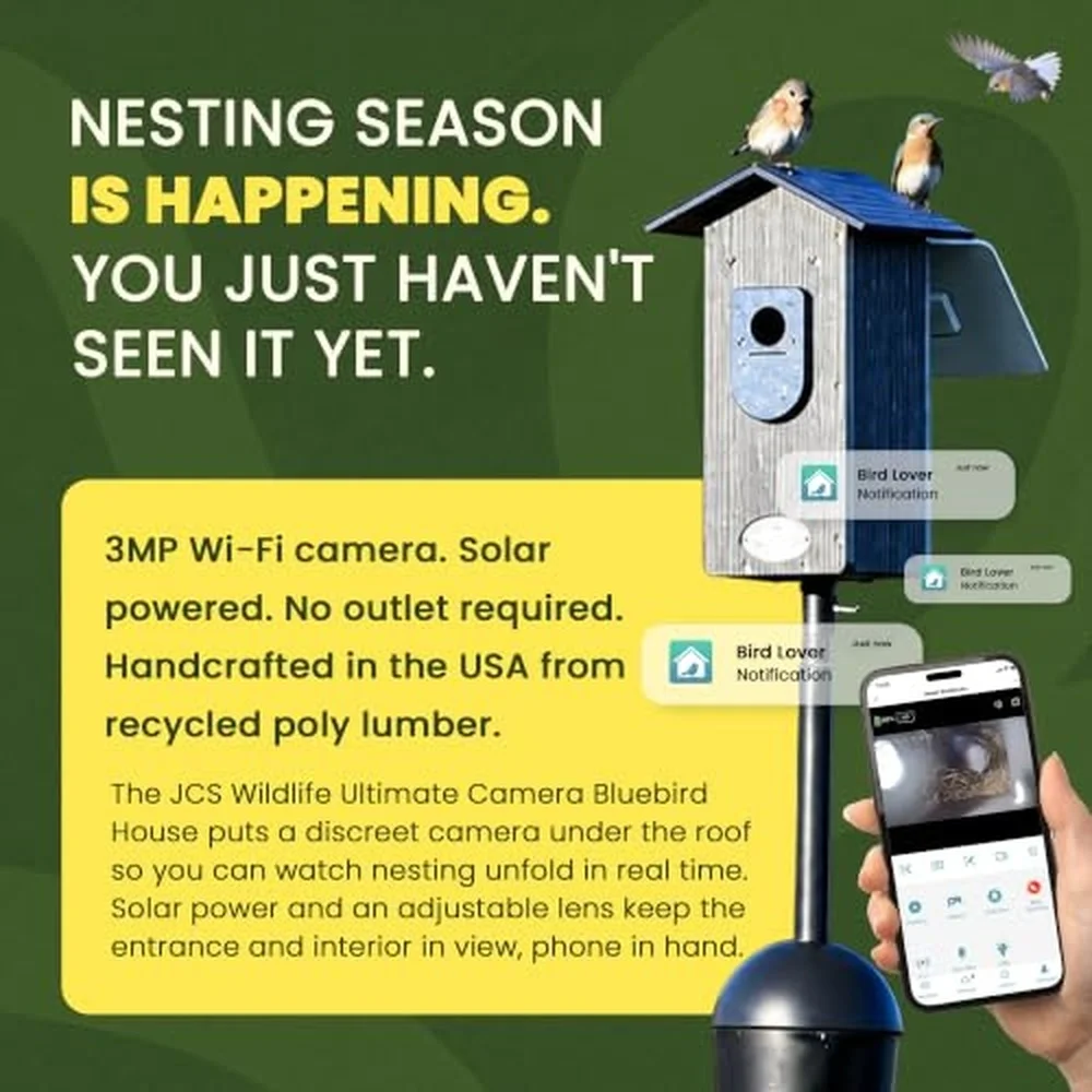 Bluebird House with Wi Fi Camera and Solar Panel Live Video