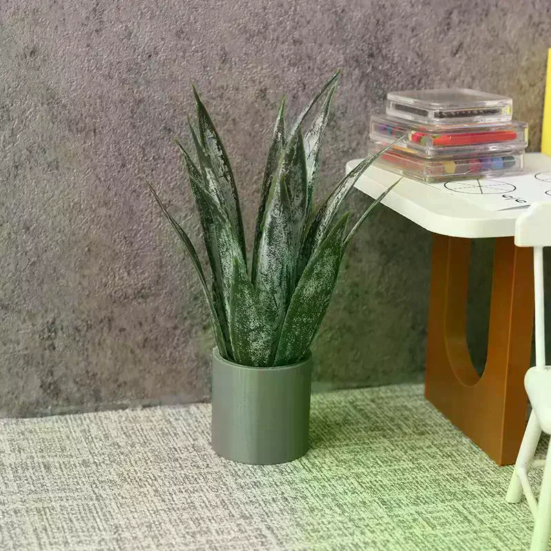 نبات الصبار المصغر لتزيين بيت - مراجعة Aloe Vera Pot وسعره