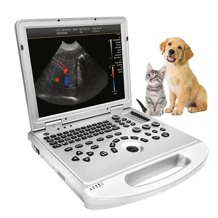 VU3V 15 Inch Laptop USG Bovine Ovine Equine Canine Feline Animal Ultrasound Machine Doppler