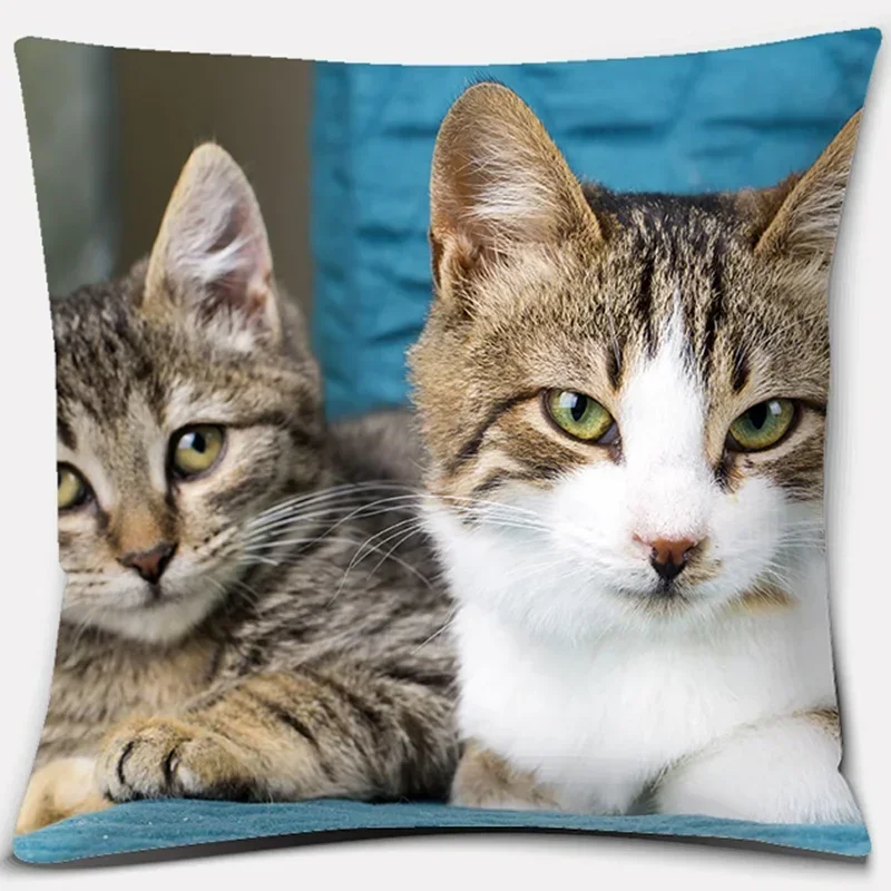 45x45cm Cute  Cat Series Decorative Pillowcase Living Room Sofa Office Seat Cushion Cover Home Decoration Hold