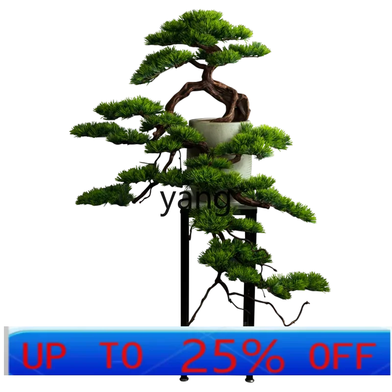 

LTT solid wood simulation welcome pine living room green plant black pine bonsai Luo Hansong ornament