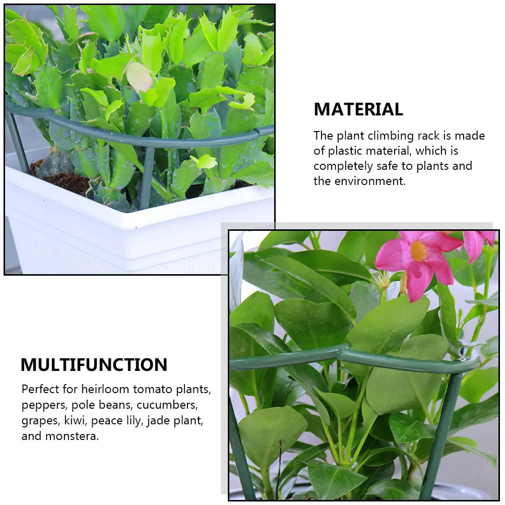 

8Pcs Climbing Plant Support Vine Stand Practical Garden Trellis Perfect for Tomato Cucumber Grape Kiwi Jade Plant
