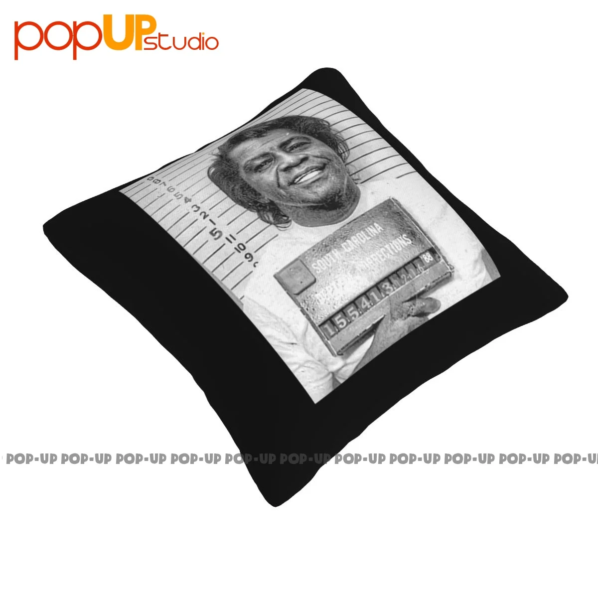 Print James Brown Mugshot Godfather Soul Motown Pillowcase Throw Pillow Cover Fashion Ultra Soft Cushion Cover