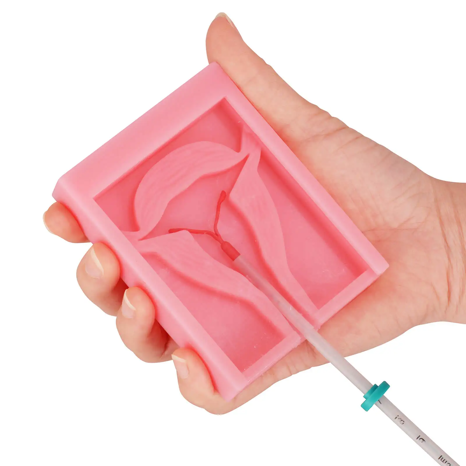 Modelo de entrenamiento de colocación IUD de silicona
