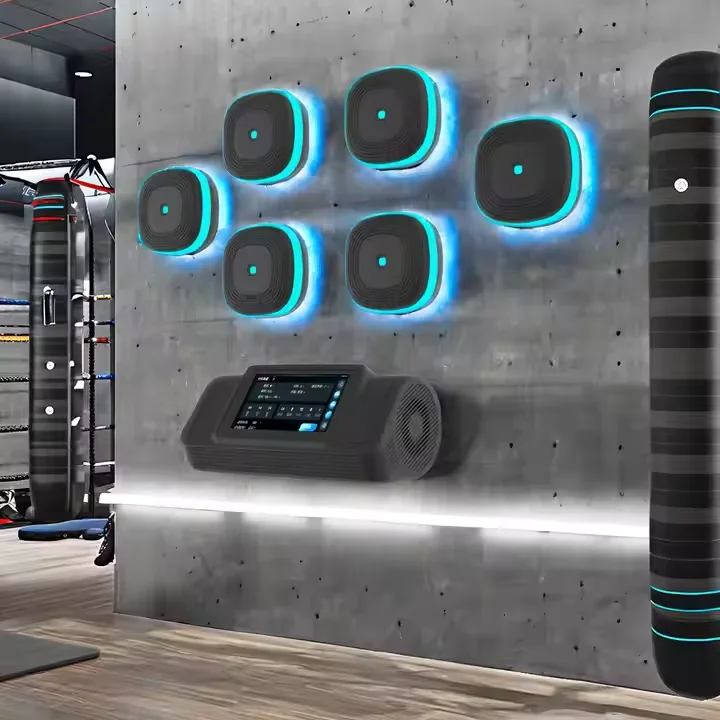 

Smart Wall-Mounted Music Target Punching Equipment Split Style Boxing Machine Workout Gear With PU Material