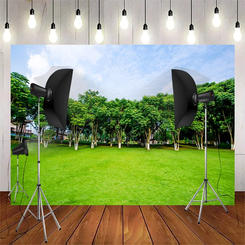 

Green Spring Beautiful Scenery Photography Backdrops Props Blue Sky White Cloud Nature lawn Forest Photo Studio Background KH-02