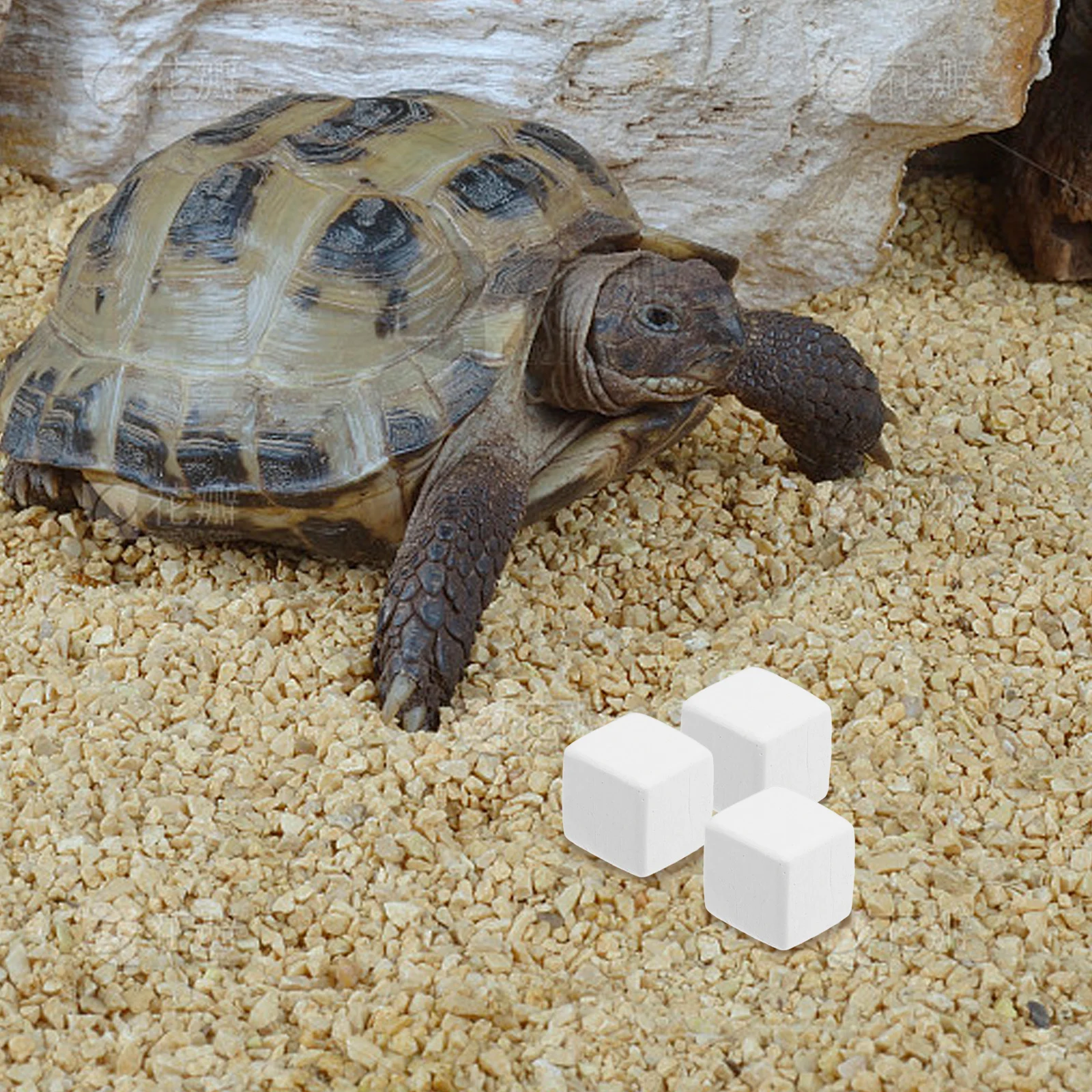 

6pcs Natural Pets Long Lasting Chew Reptiles Rodents Small Animals Hamster Chinchilla Lava Stone Reptile