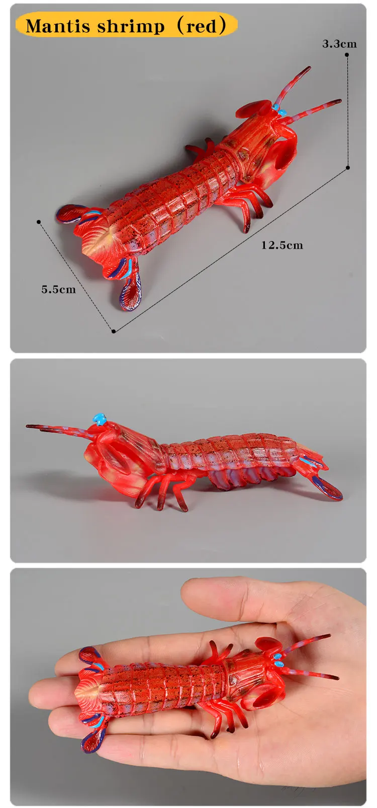 Ozean Tiere Mantis Garnelen Meer Leben Modell Action-figuren Simulation Sammlung Spielzeug für Kinder Geschenk – Detail 4