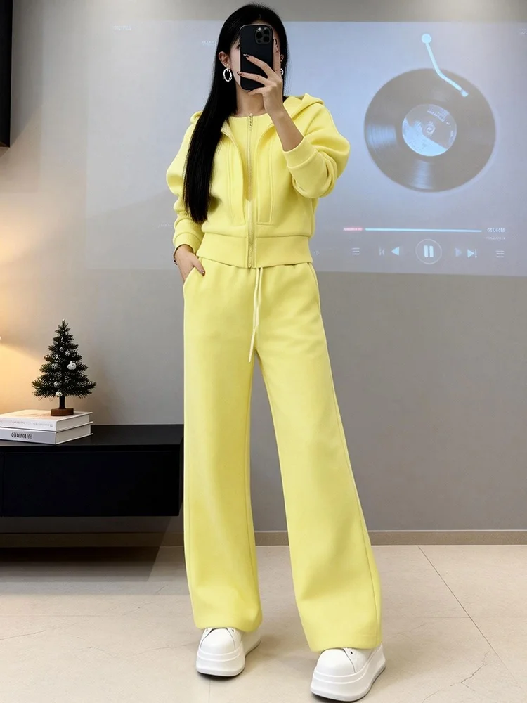 

Комплект из двух предметов: женские повседневные брюки с высокой талией и широкими штанинами, весна 2026, удобный крой, теплые, средней толщины, без начеса