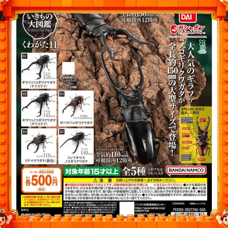 

Bandai Creature Encyclopedia: Stag Beetle 11, Beetle, Giraffe Stag Beetle & Stag Beetle Realistic Animal Figure Model Toy Gift