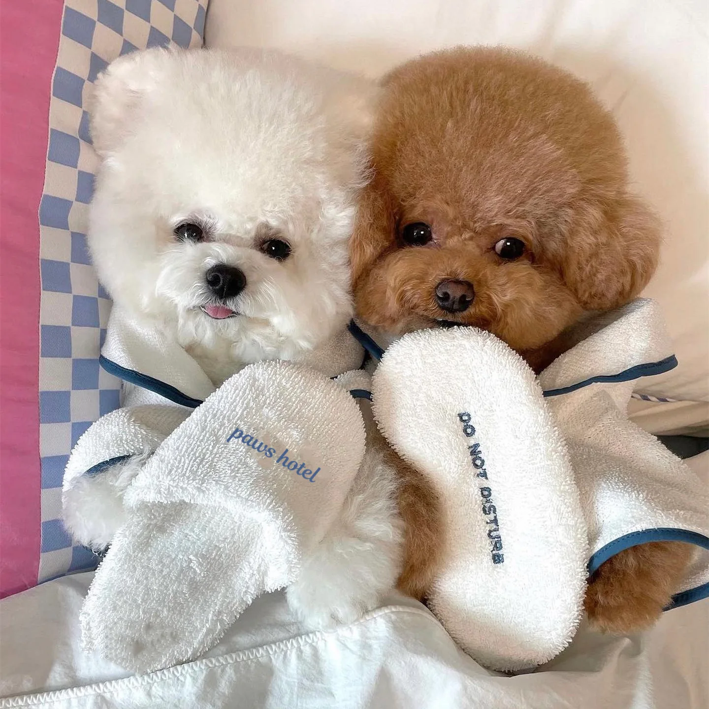 Hotel Style Pet Bath Towel Bathrobe Photo Props Pajamas Cat Cute Pajamas Dog Pet Bichon Teddy Kawaii Clothes Pet Toys