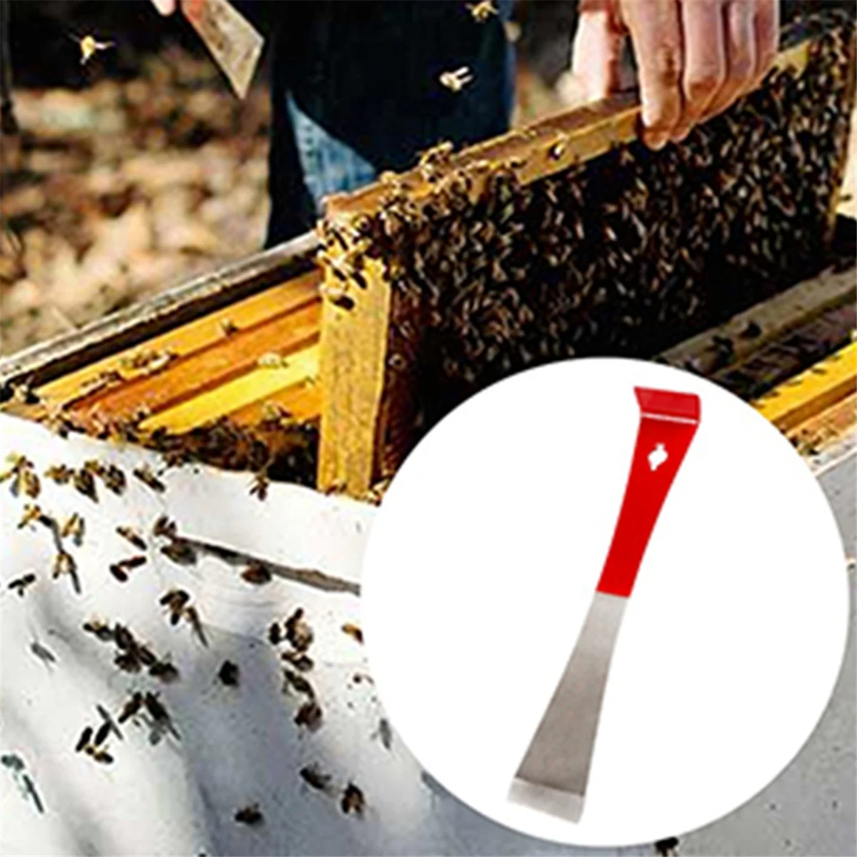 ABNH 2PCS Barra di leva Raschietto Estrattore per chiodi Piede di porco piatto in acciaio inossidabile Bordo angolato Barra di leva per tirare e raschiare Strumento Ape Gear