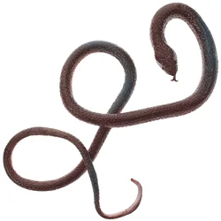 Prank Props Realistic Rubber Fake Realistic Rubber Snake Fake Snake Toys Party Prop for Halloween Festival Random Color