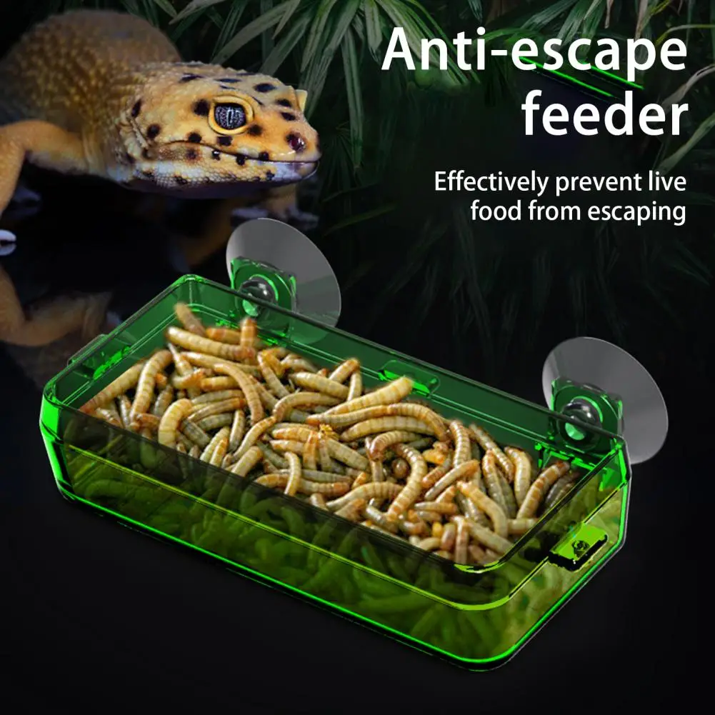 Reptile Food Bowl  Portable Worm Live Reptile Pet Feeder  Simple Installation Reptile Pet Feeder