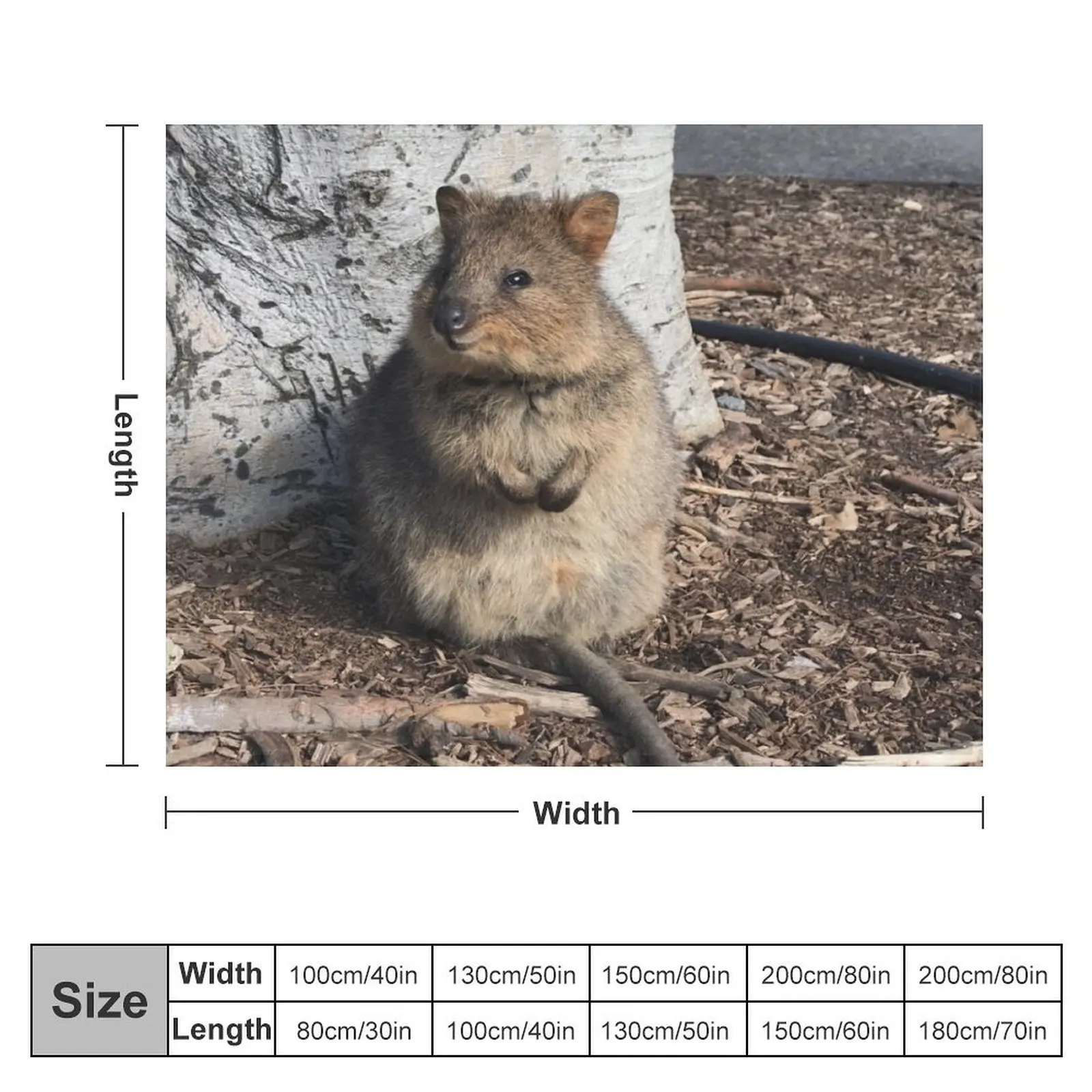 Quokka Throw Blanket Designers heavy to sleep Blankets