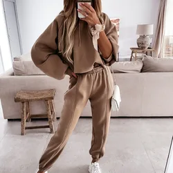 Women's Clothing Set Spring Autumn Female Sweatshirt Casual Loose Pullovers + Elastic Waist Sport Pants Women's Set Two Pieces