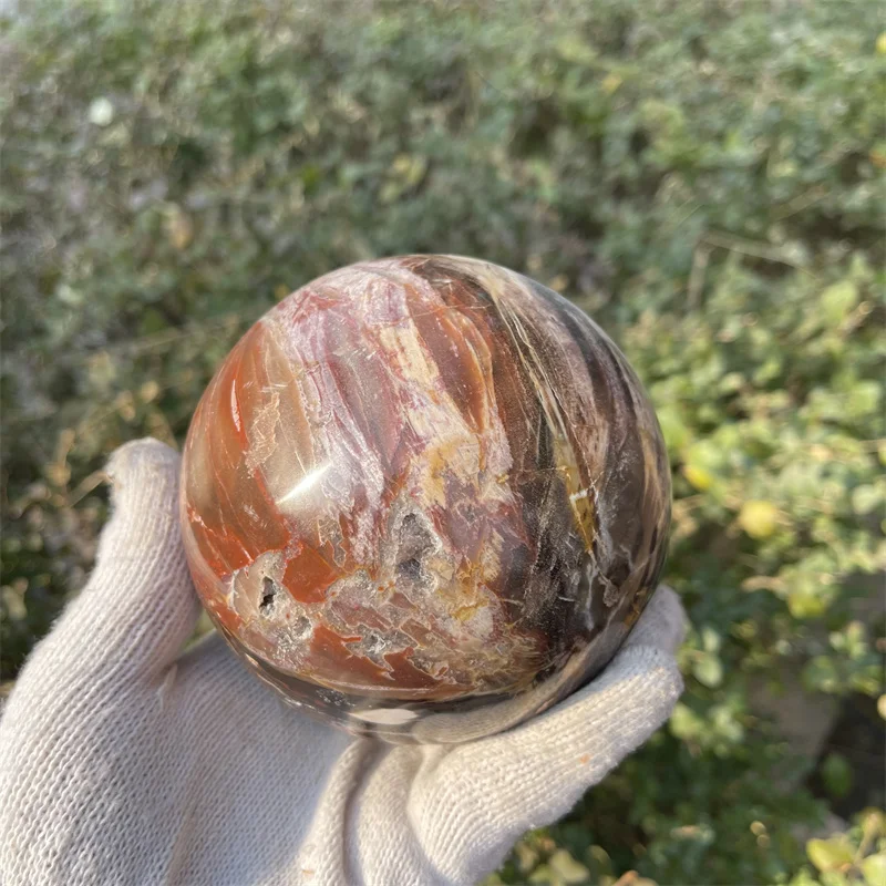 10cm Natural petrified wood ball wooden stone ball