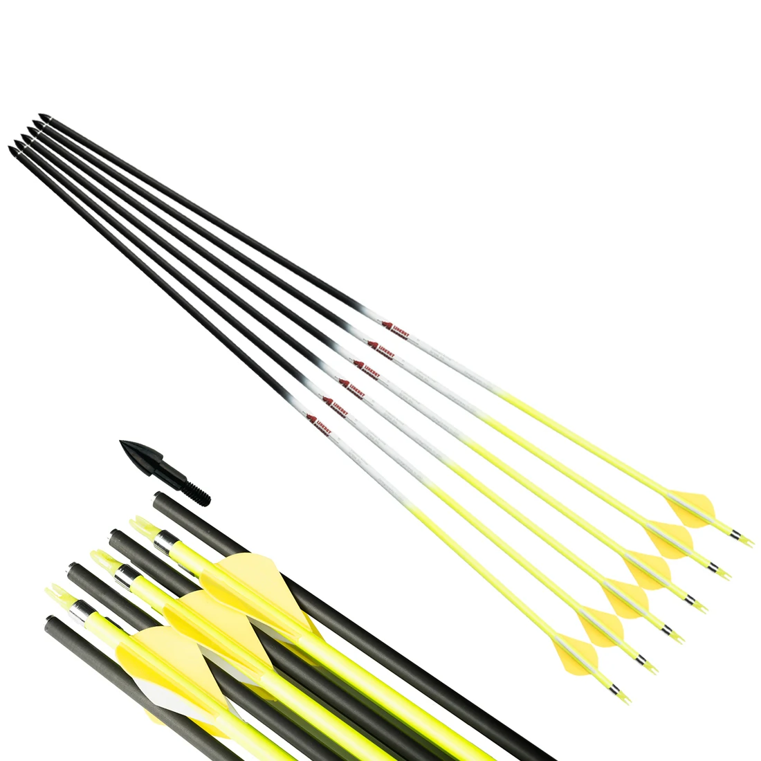 

Углеродные стрелы для охоты на блочный лук, позвоночник 300-800, ID6,2 мм, сменные наконечники стрел, 2 дюйма, 12 шт.