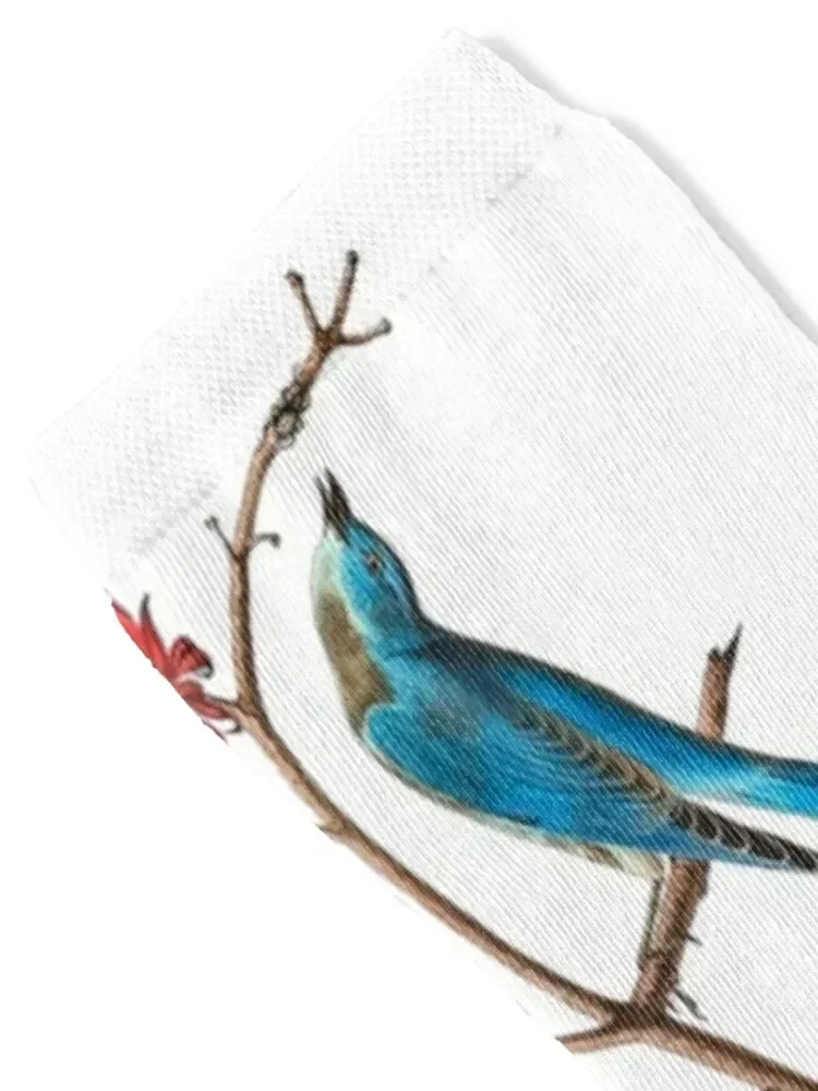 John James Audubon Townsends warbler Socks snow Wholesale Stockings Socks Men's Women's