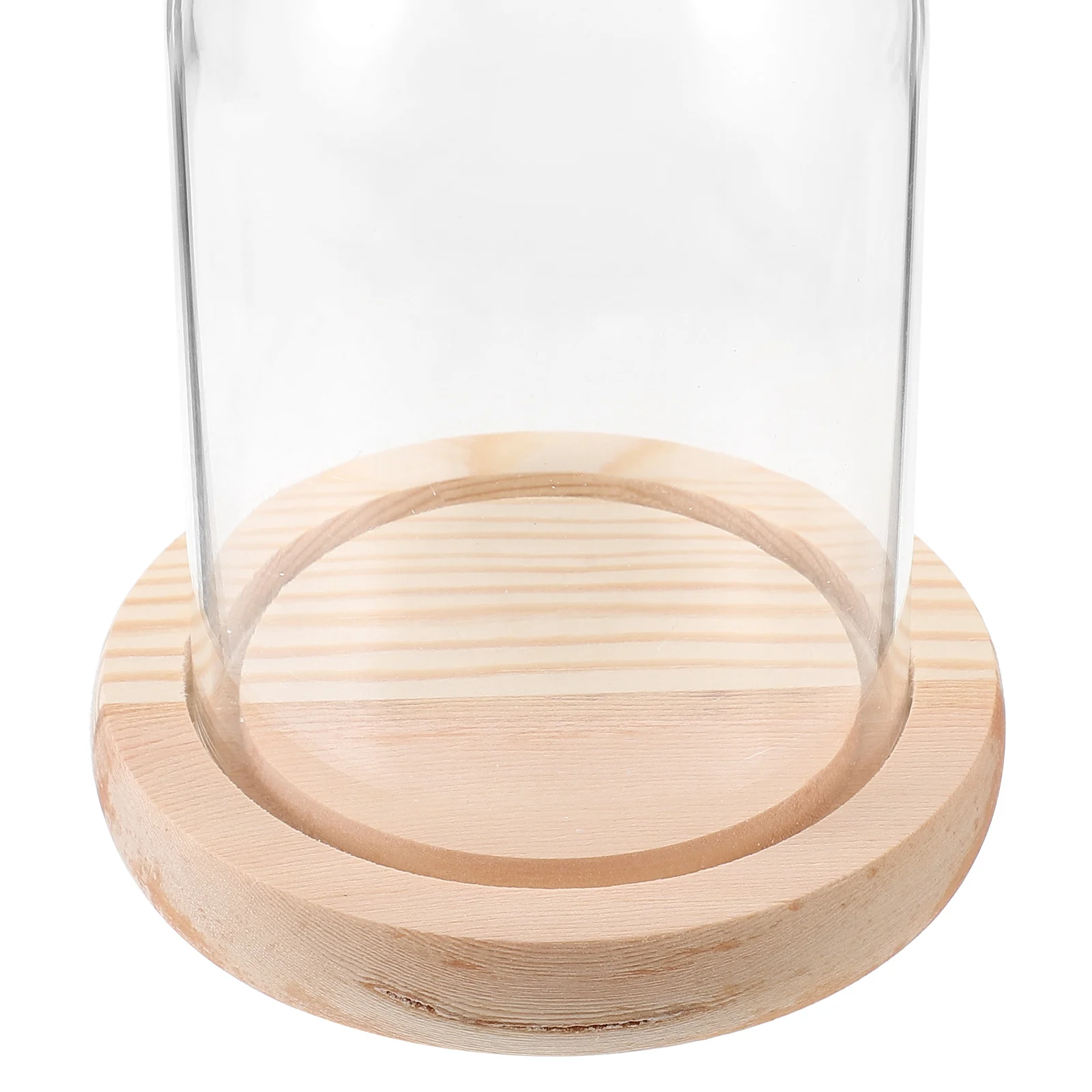 

Glass Display Case Clear Bell Jar For Preserved Flowers Mini Landscape Decor Glass Dome With Base For Crafts Collectibles