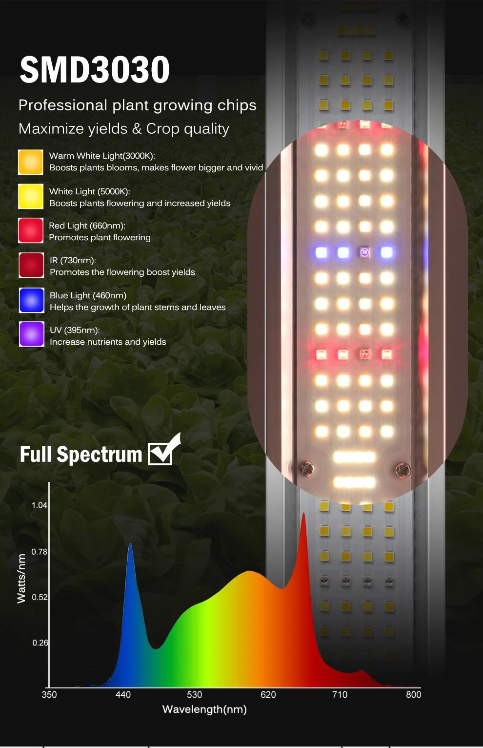 Vollspektrum-LED-Pflanzenlampe SMD3030 400W 650W 800W 1200W 3000K 5000K Rot IR UV Licht 1650Umol/ ㎡ Pflanzenlampe mit hohem PPFD für Pflanzen – Detail 2