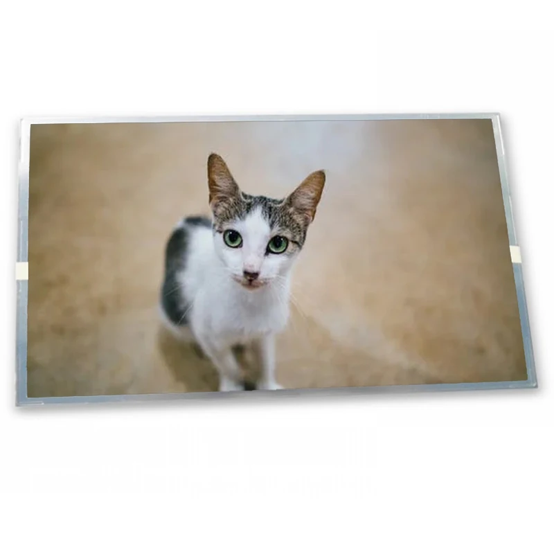 NL6448AC18-11D 5.7 640*480 TFT-LCD Display Modules Zhiyan supply