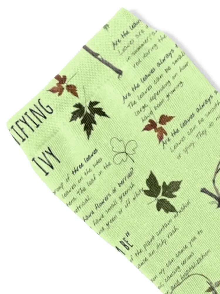 Identify Poison Ivy Plant - Real Poison Ivy - Information about Identifying this itchy plant Socks luxe Socks For Women Men's