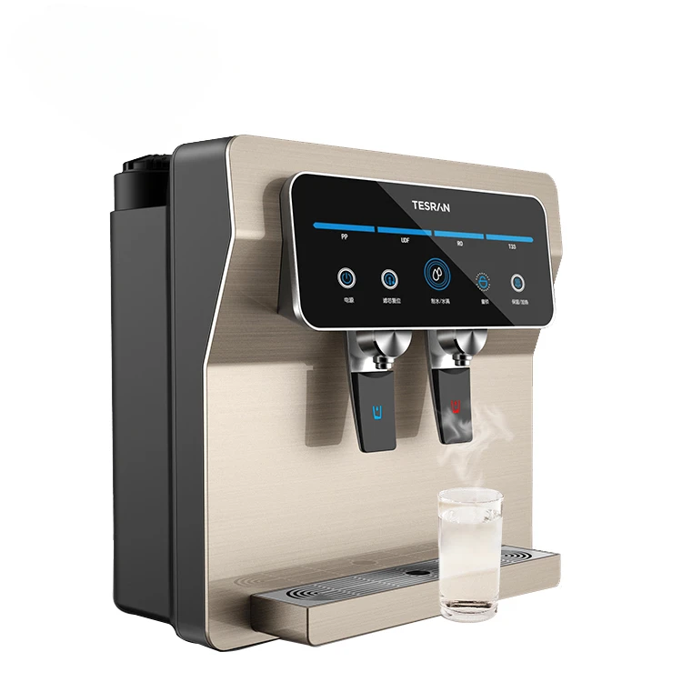 Tesran Professional Factory Direct Drinking Counter Water purifier top distributore di acqua elettrica calda con serbatoio dell'acqua