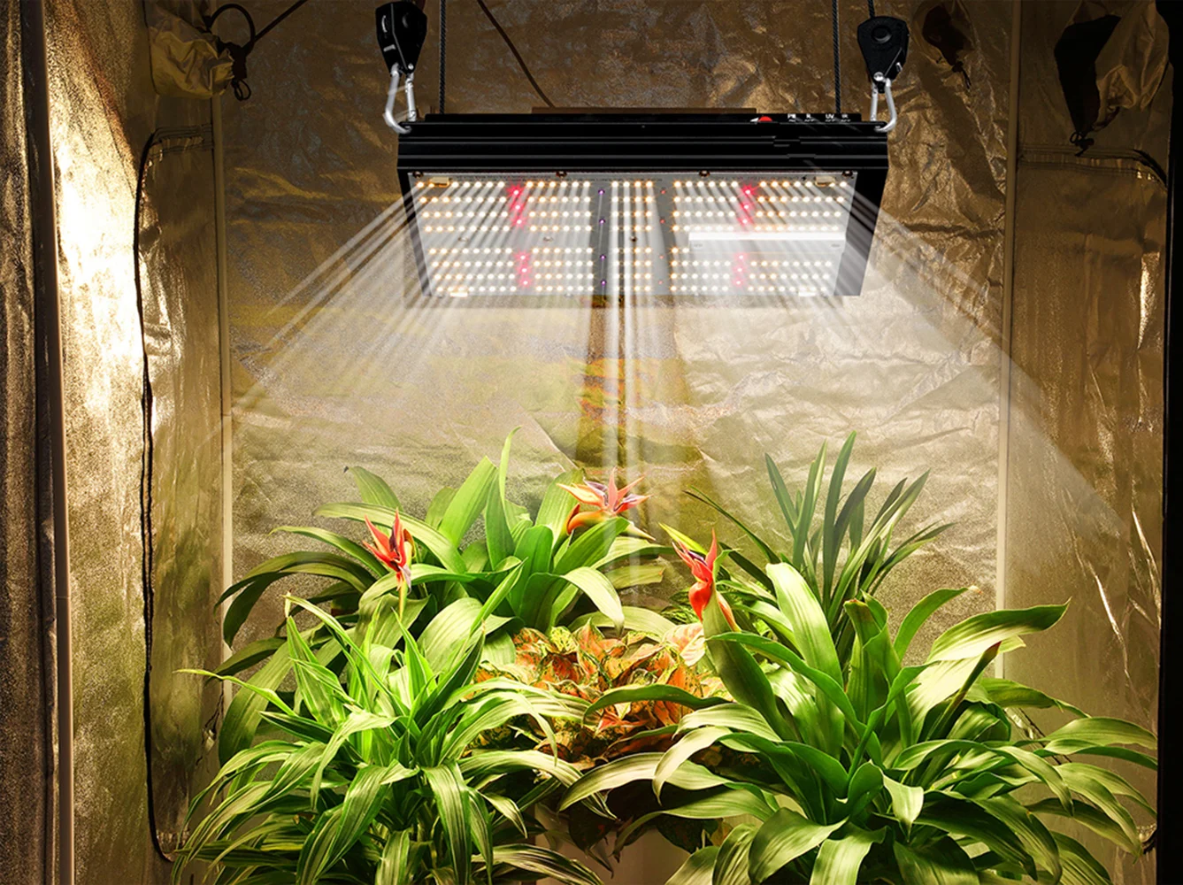 

BAVAGREEN 120W Full Spectrum LED Grow Light UV IR Separately Control Dimmable SAMSUNG LM301H Plant LED Lamp for Veg Flower