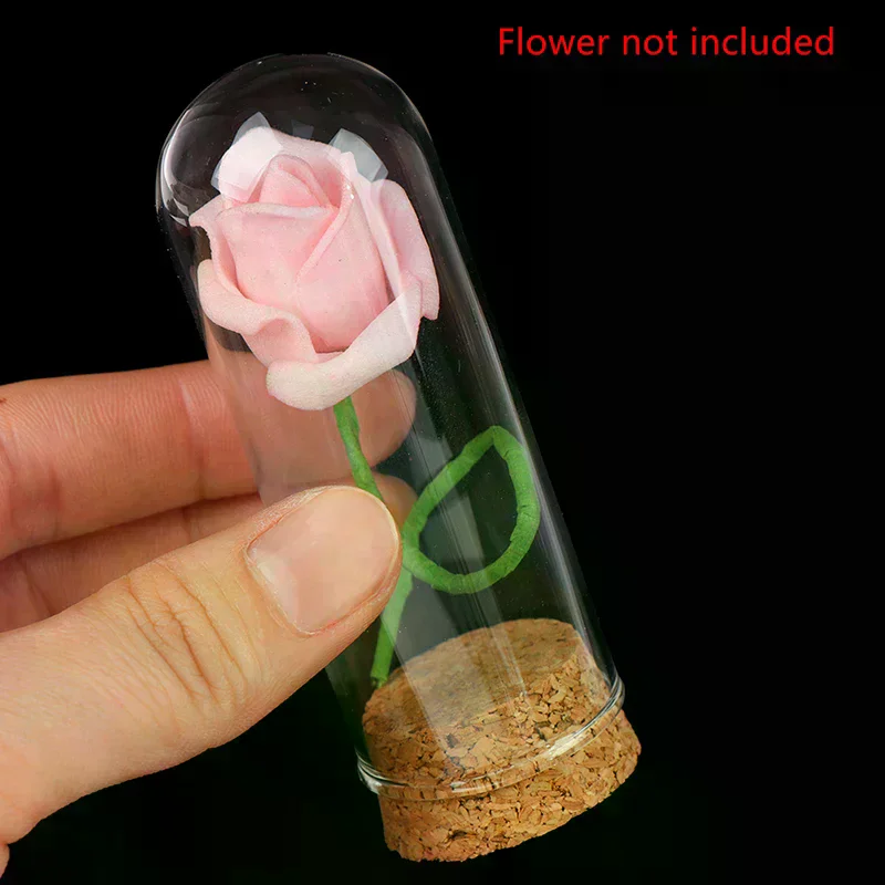 

1/6 Dome Display Wood Cork Bell Jar With Wooden Base Decoation Craft Doll Glass